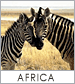 Africa